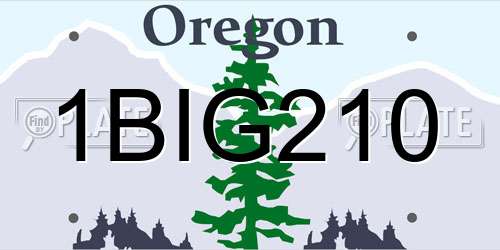 1BIG210 Oregon License Plate