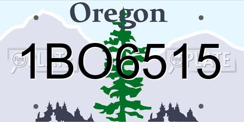 1BO6515 Oregon License Plate