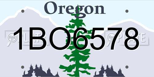 1BO6578 Oregon License Plate