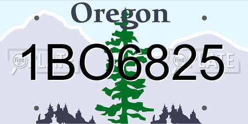 1BO6825 Oregon License Plate