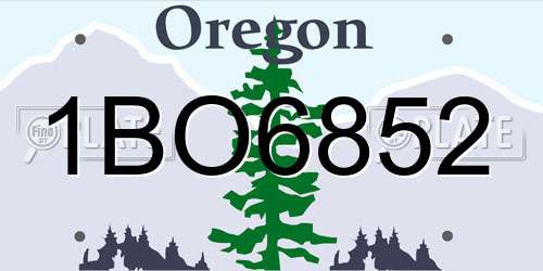 1BO6852 Oregon License Plate