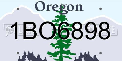 1BO6898 Oregon License Plate