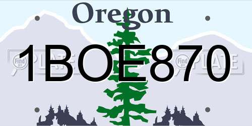 1BOE870 Oregon License Plate