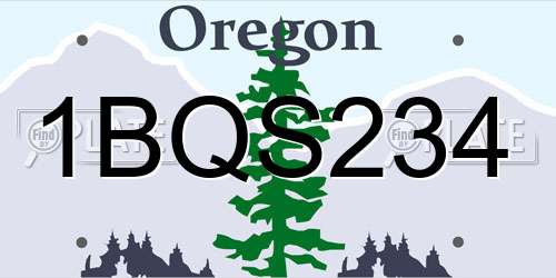 1BQS234 Oregon License Plate