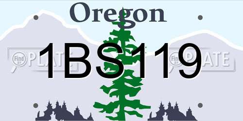 1BS119 Oregon License Plate
