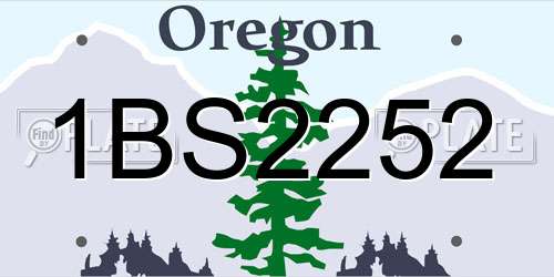 1BS2252 Oregon License Plate