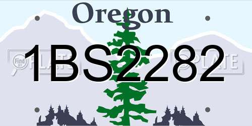1BS2282 Oregon License Plate