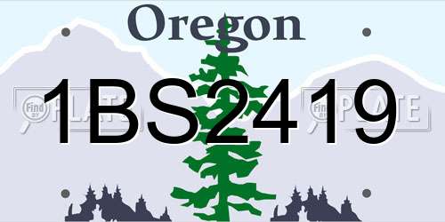 1BS2419 Oregon License Plate