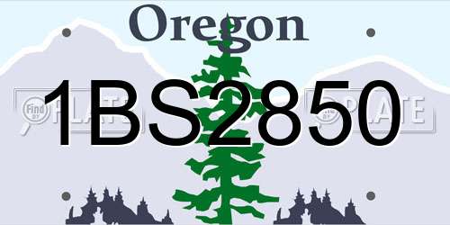 1BS2850 Oregon License Plate
