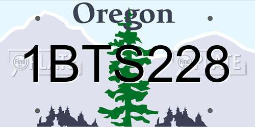 1BTS228 Oregon License Plate