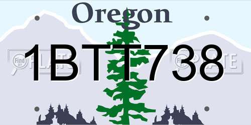 1BTT738 Oregon License Plate
