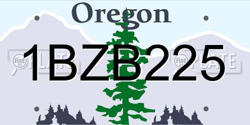 1BZB225 Oregon License Plate