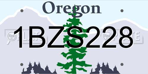 1BZS228 Oregon License Plate
