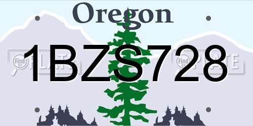 1BZS728 Oregon License Plate