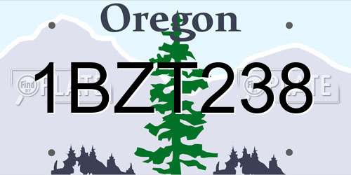 1BZT238 Oregon License Plate