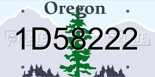 1D58222 Oregon License Plate