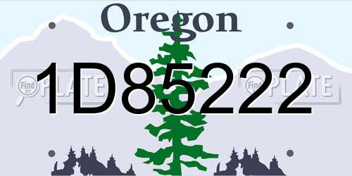 1D85222 Oregon License Plate