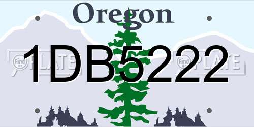 1DB5222 Oregon License Plate