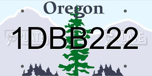 1DBB222 Oregon License Plate