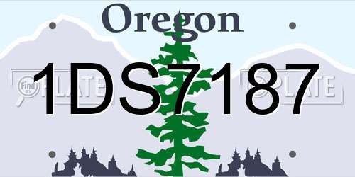 1DS7187 Oregon License Plate