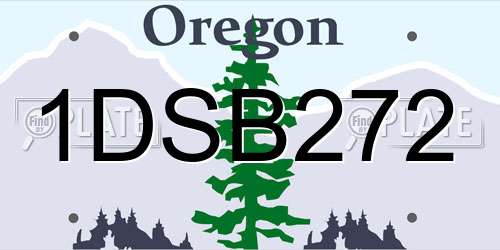 1DSB272 Oregon License Plate