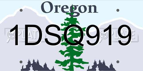 1DSQ919 Oregon License Plate