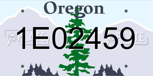 1E02459 Oregon License Plate