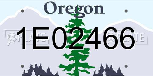 1E02466 Oregon License Plate