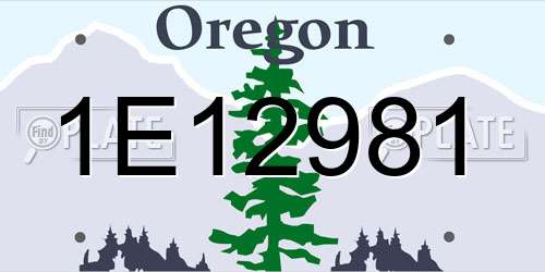 1E12981 Oregon License Plate