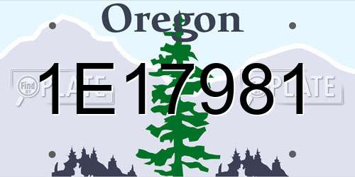 1E17981 Oregon License Plate