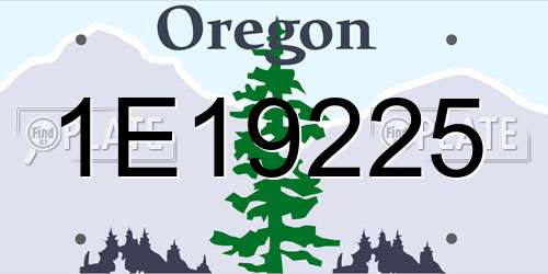 1E19225 Oregon License Plate