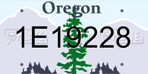 1E19228 Oregon License Plate