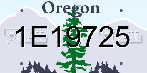 1E19725 Oregon License Plate