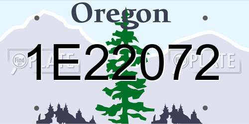 1E22072 Oregon License Plate