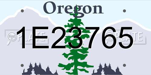1E23765 Oregon License Plate