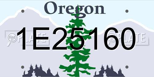 1E25160 Oregon License Plate