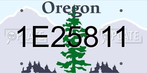 1E25811 Oregon License Plate