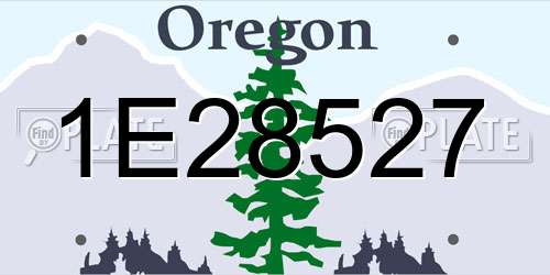 1E28527 Oregon License Plate