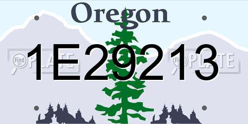 1E29213 Oregon License Plate