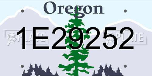 1E29252 Oregon License Plate