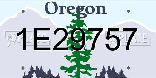 1E29757 Oregon License Plate