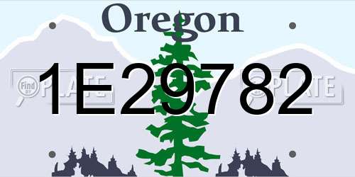1E29782 Oregon License Plate