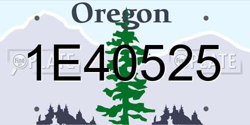 1E40525 Oregon License Plate
