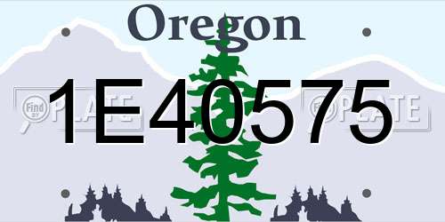 1E40575 Oregon License Plate