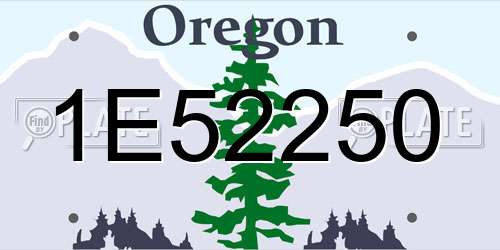 1E52250 Oregon License Plate