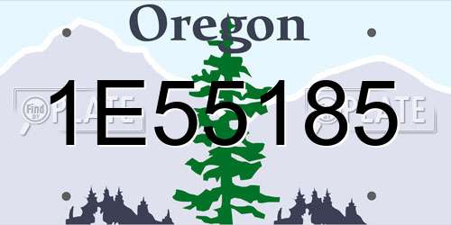 1E55185 Oregon License Plate