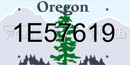 1E57619 Oregon License Plate