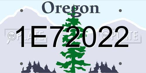 1E72022 Oregon License Plate