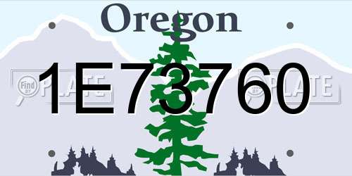1E73760 Oregon License Plate