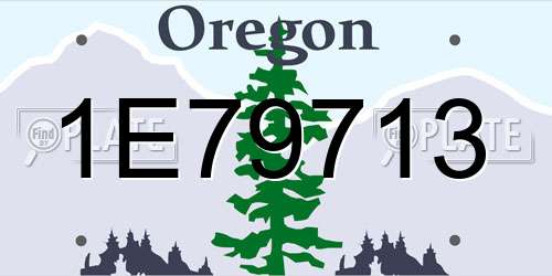1E79713 Oregon License Plate